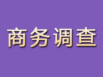 井研商务调查